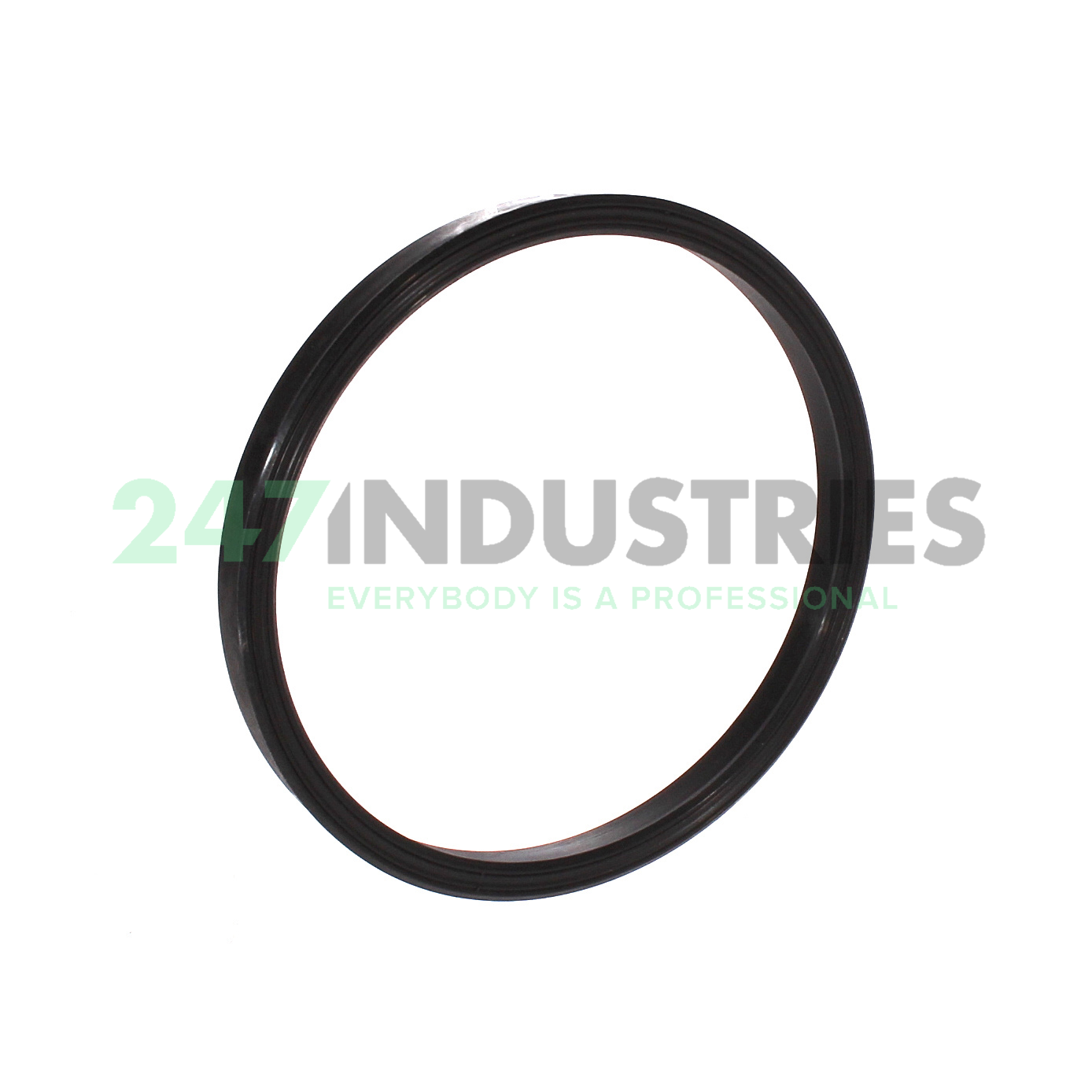 PTB187-3875-375-J1S SKF