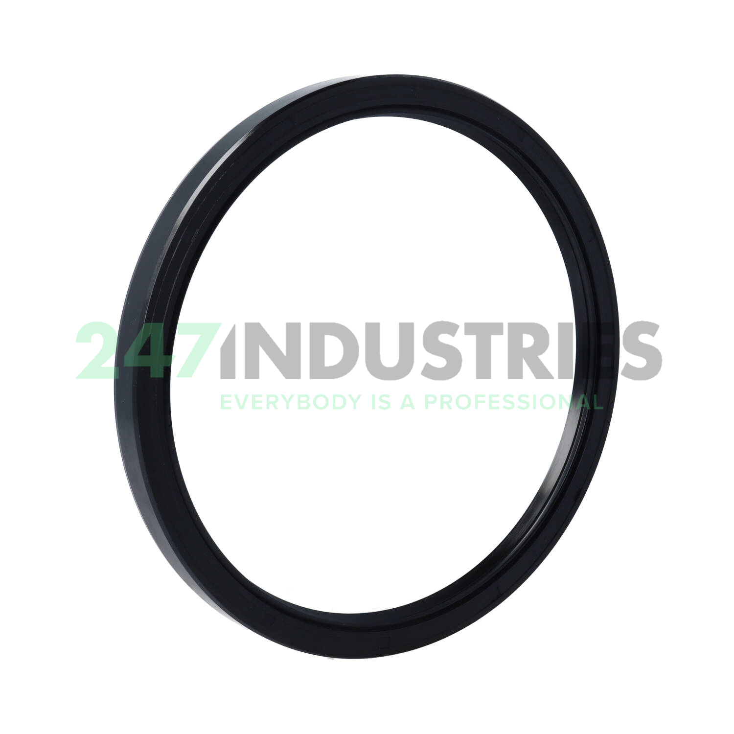 TC140X160X13 Neutral