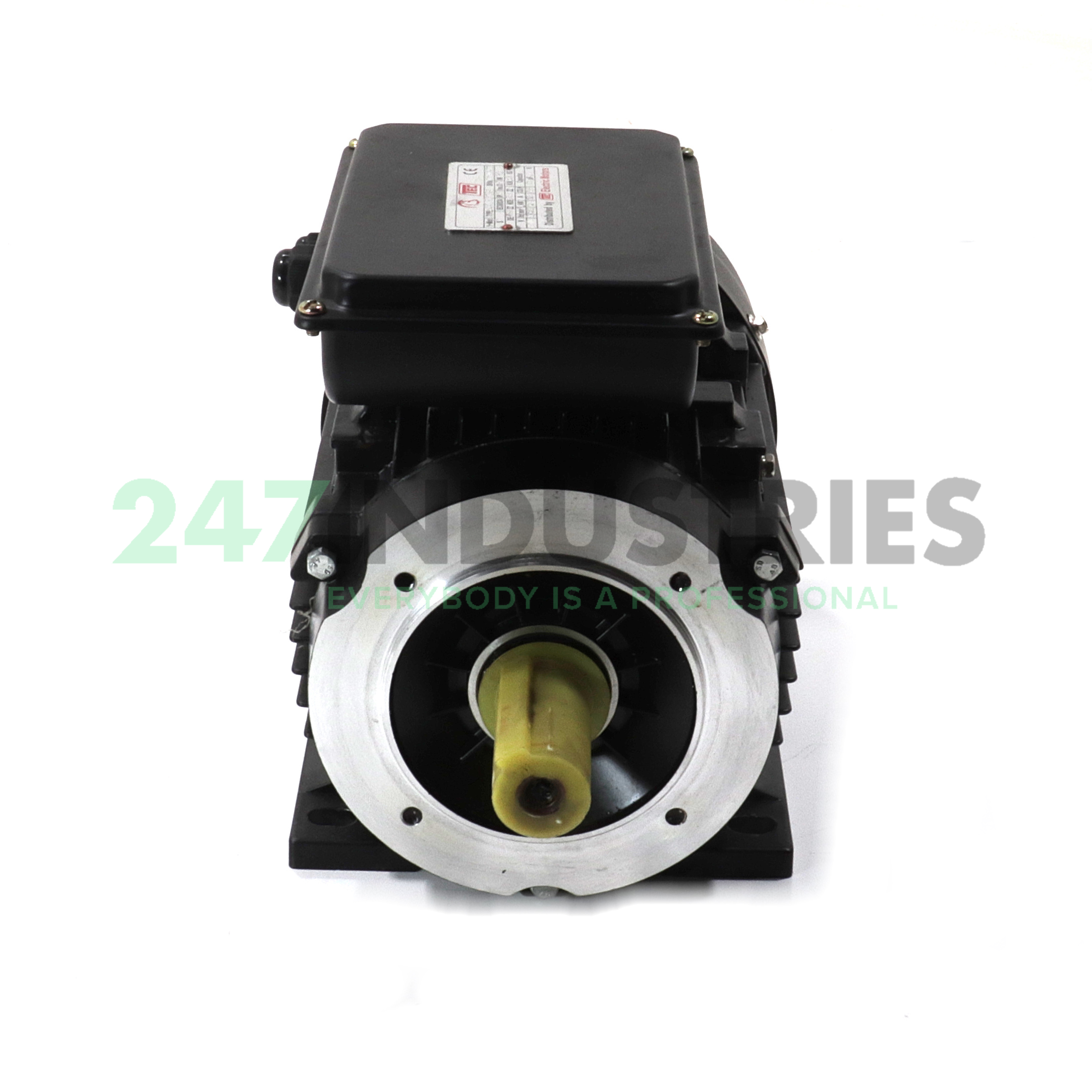 2.241TPCB34-100-DEL Tec Electric Motors Image 2