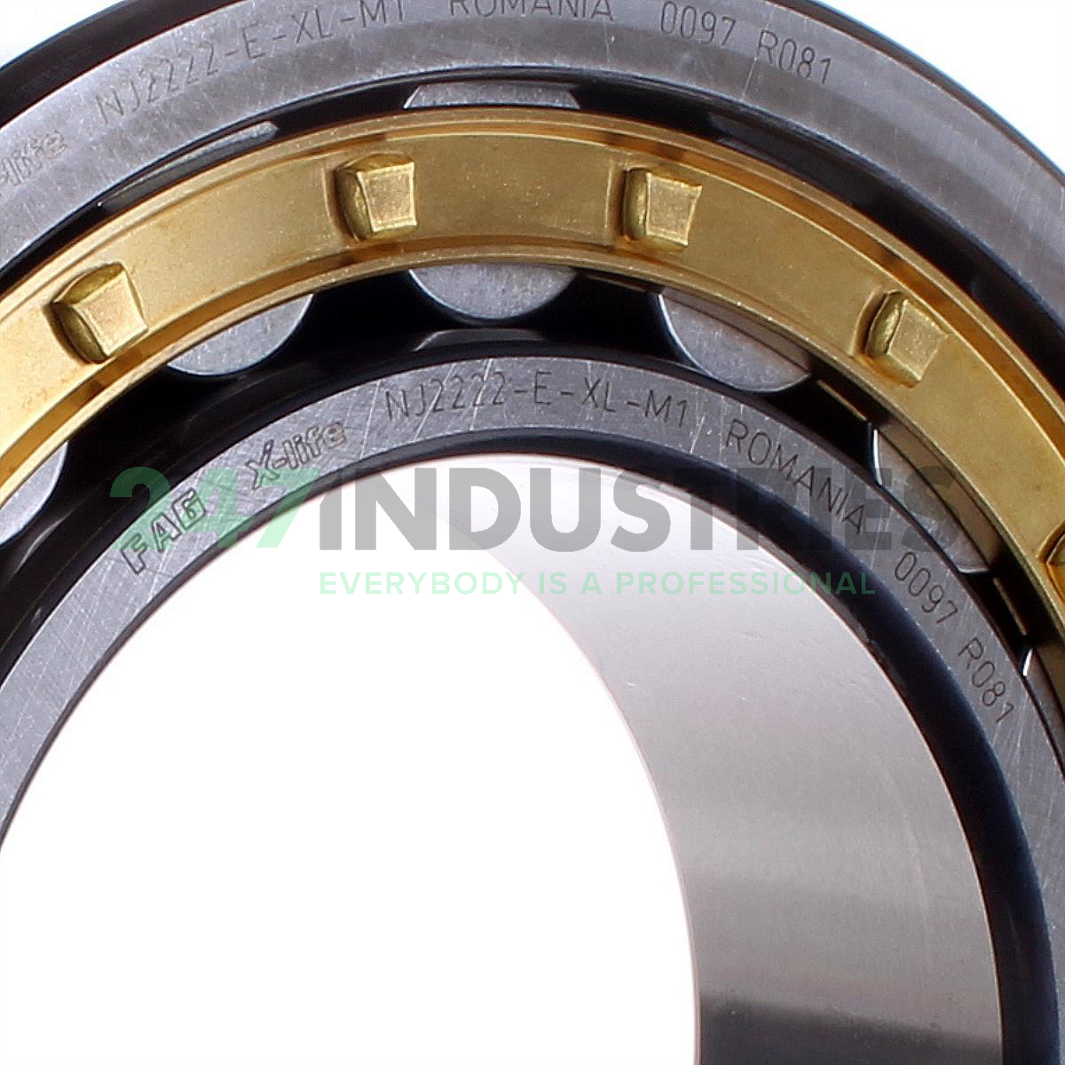 NJ2222-E-XL-M1 FAG Image 2