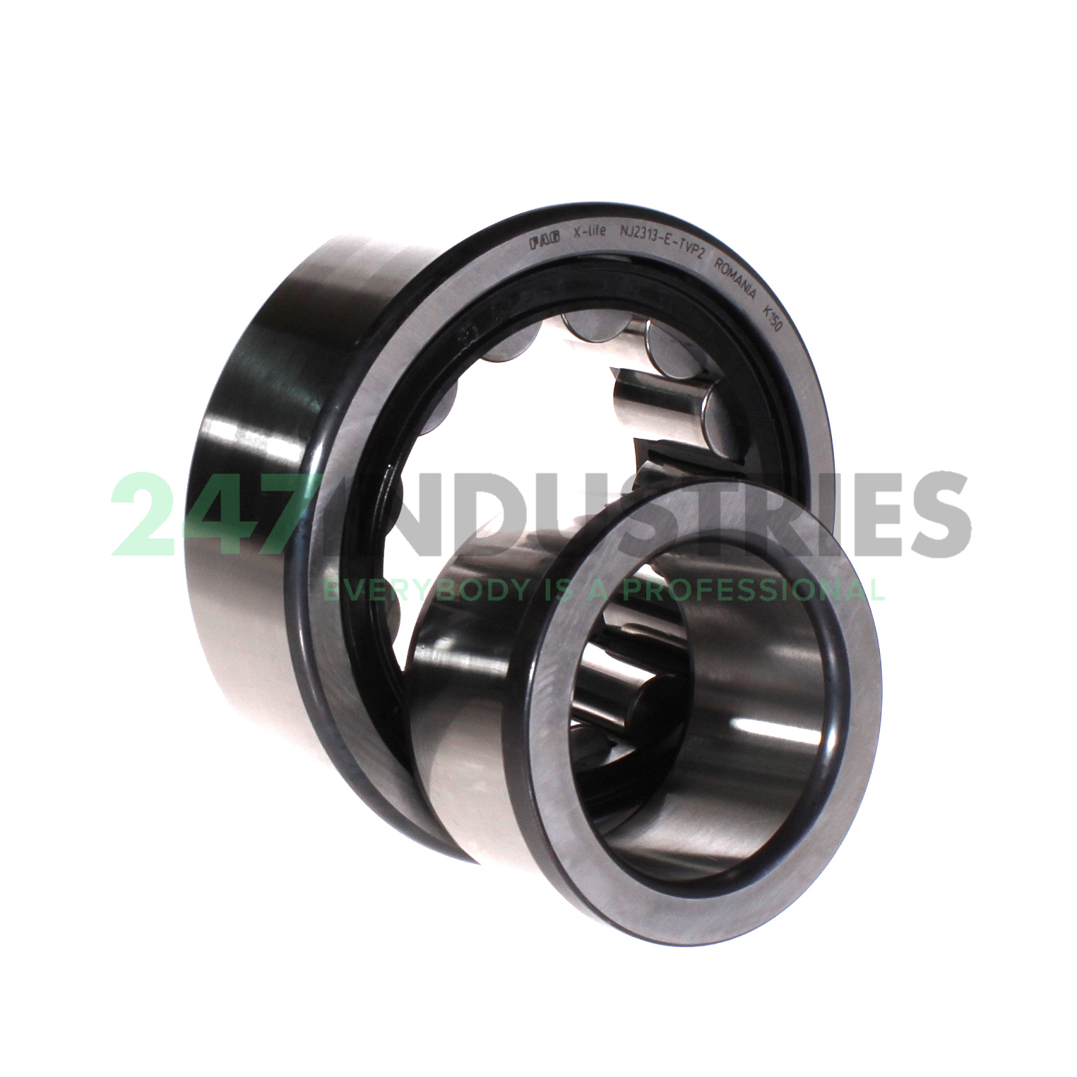 NJ2313-E-TVP2 FAG Image 3