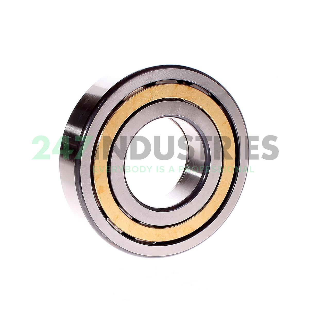 NUP311-E-XL-M1-C3 FAG Image 3