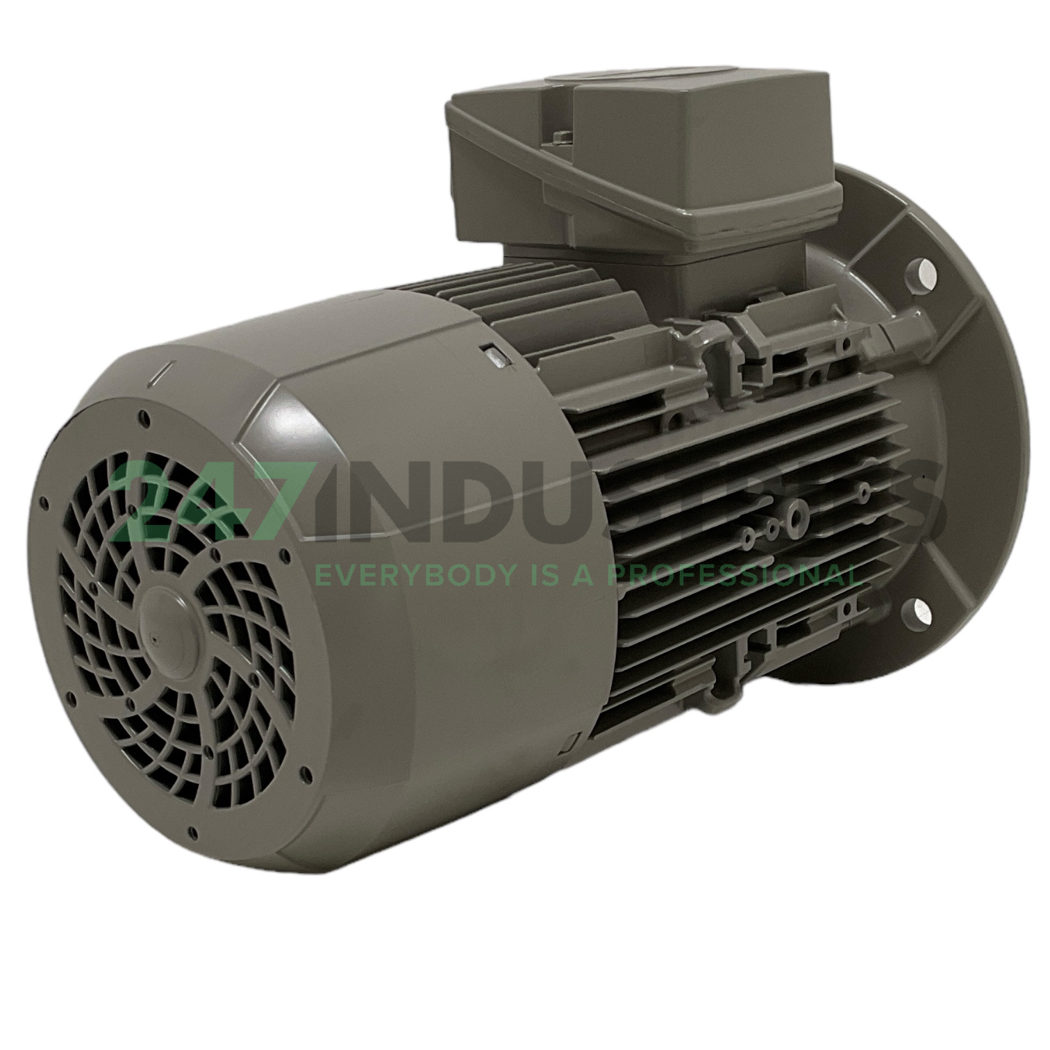 1LE1004-1AA42-2FA4 Siemens Image 3