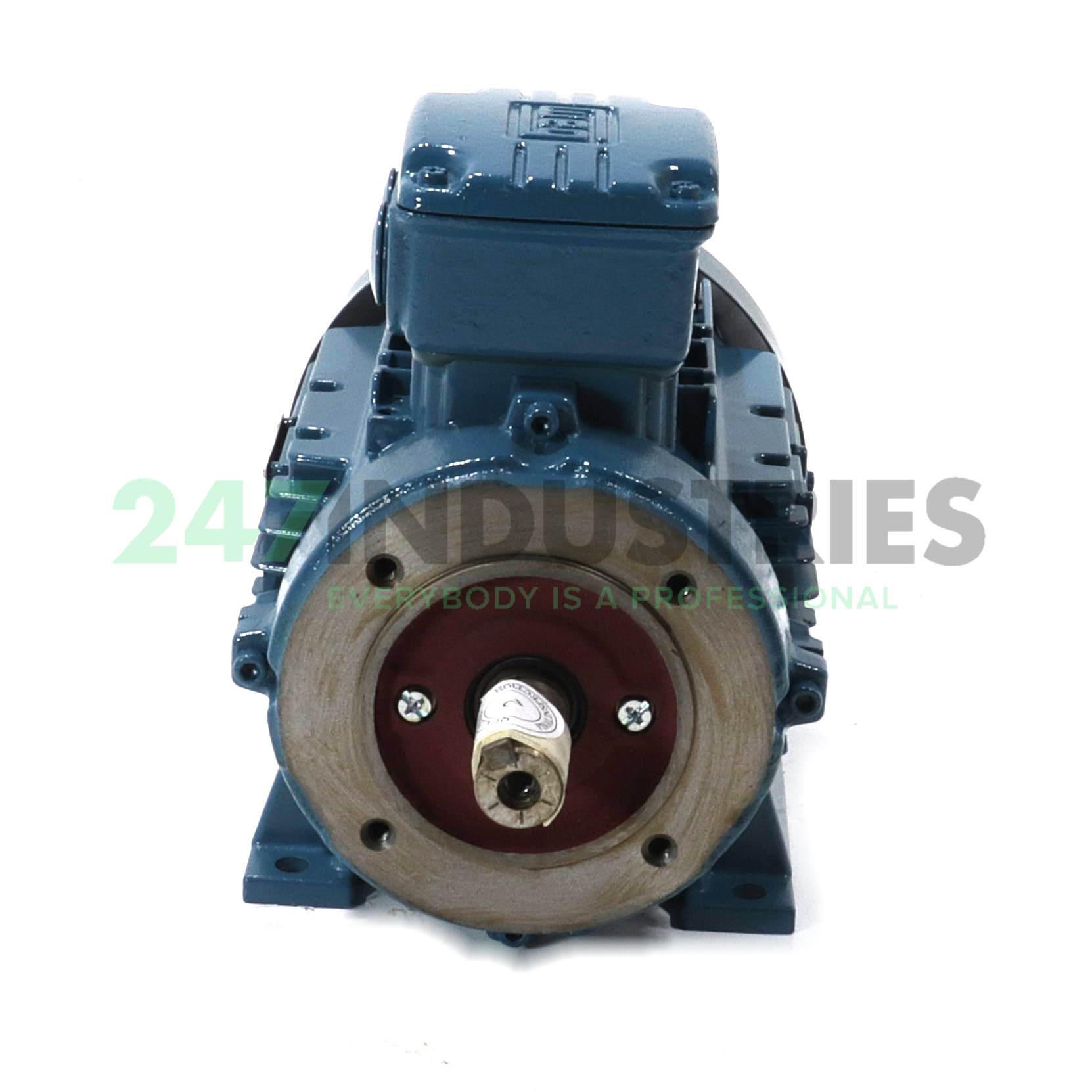 1.1K31AL290S/L4B34 WEG Image 2