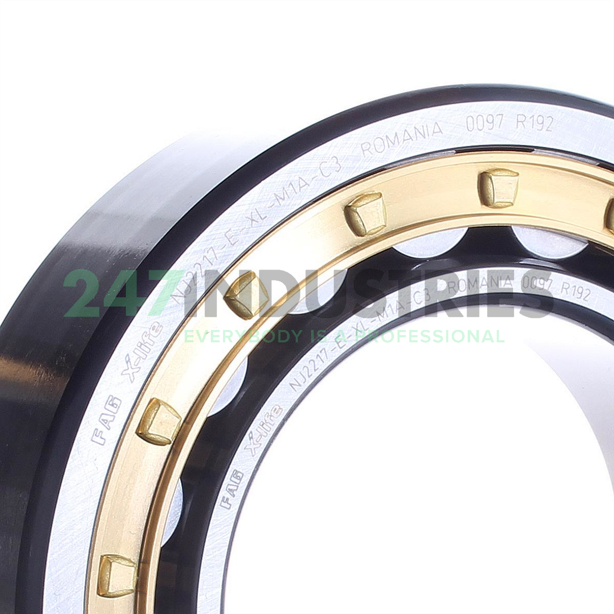 NJ2217-E-XL-M1A-C3 FAG Image 2