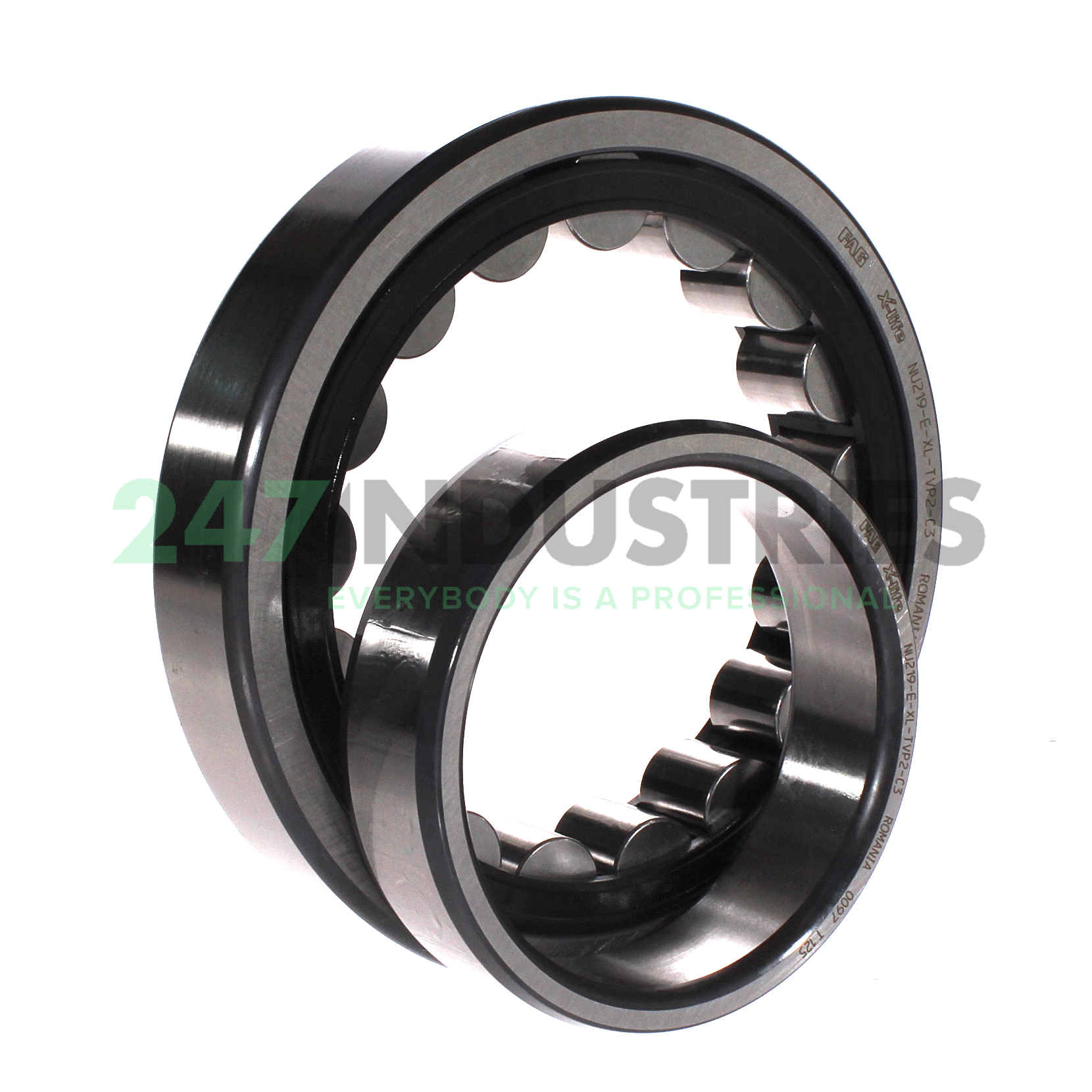 NU219-E-XL-TVP2-C3 FAG Image 3