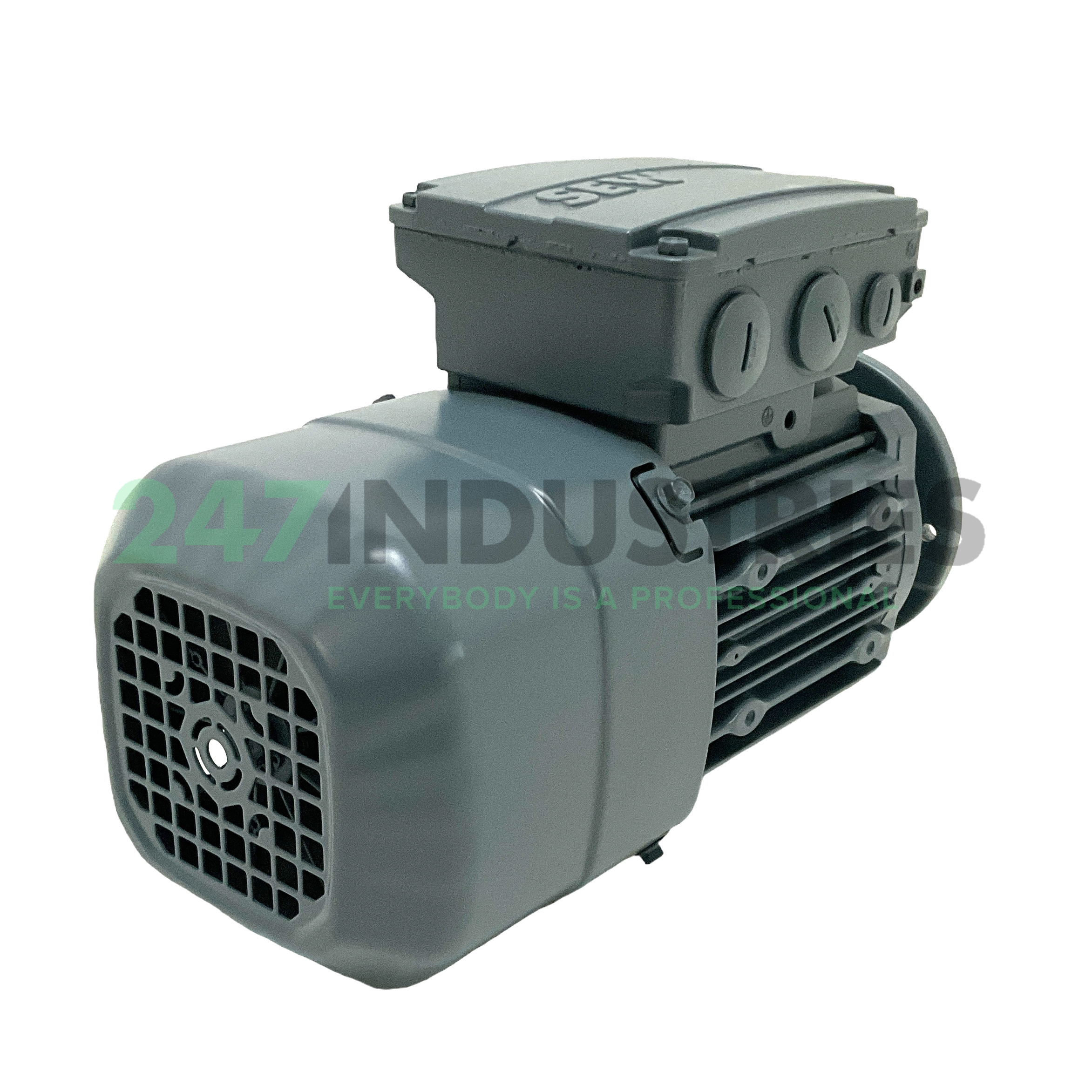 DRS71M4BE1HR/FG SEW-EURODRIVE Image 3