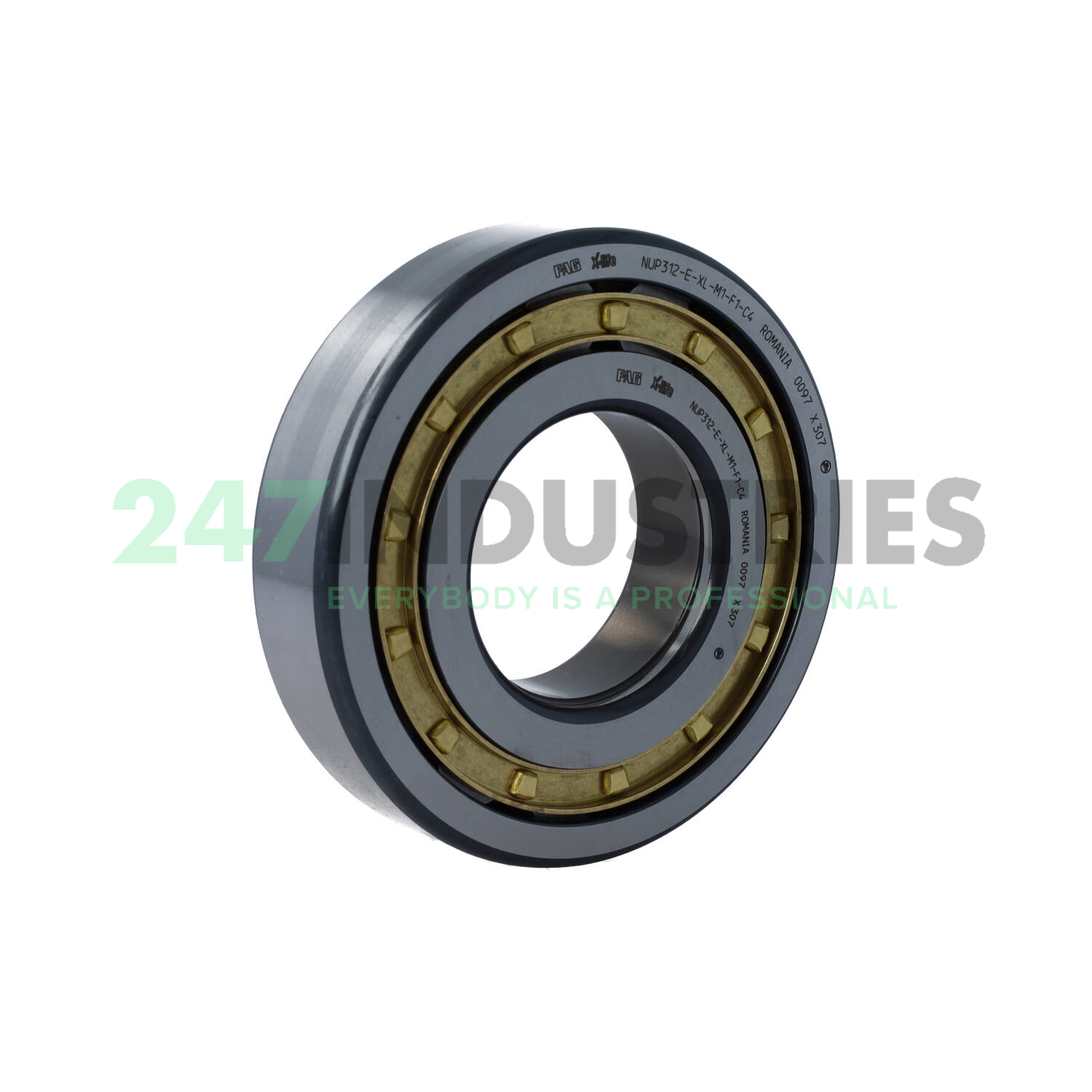 NUP312-E-XL-M1-F1-C4 FAG