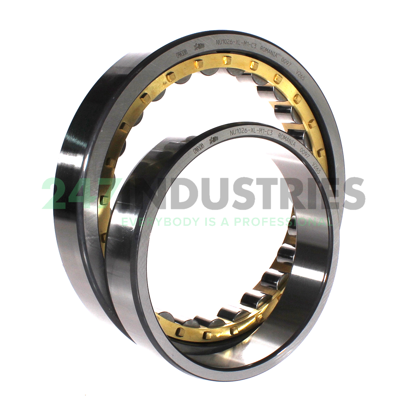 NU1026-XL-M1-C3 FAG Image 3