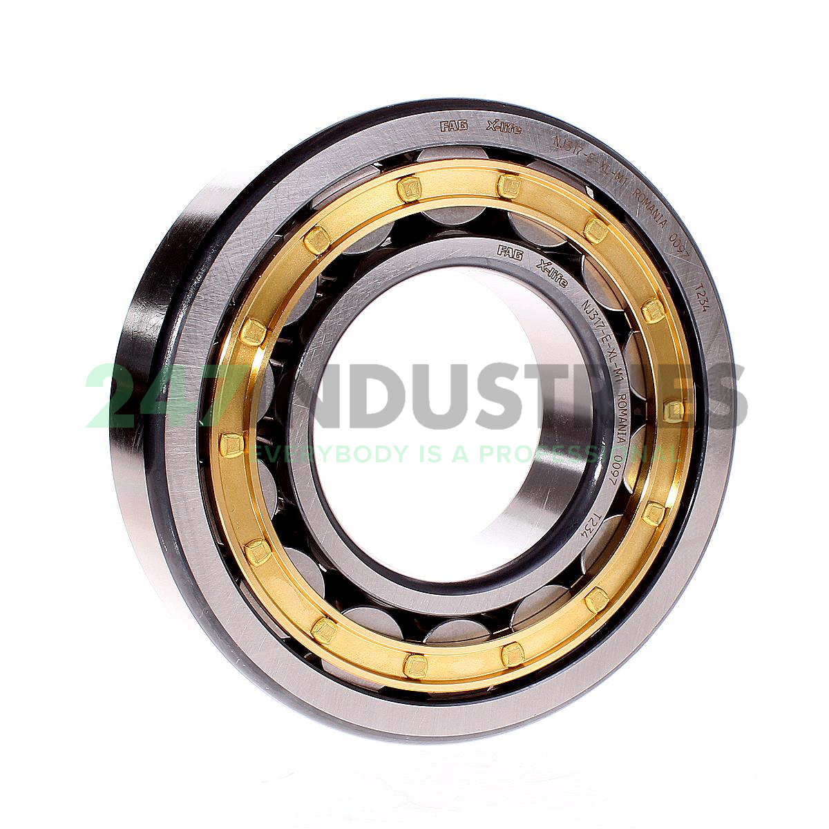 NJ309-E-XL-TVP2-C3 FAG