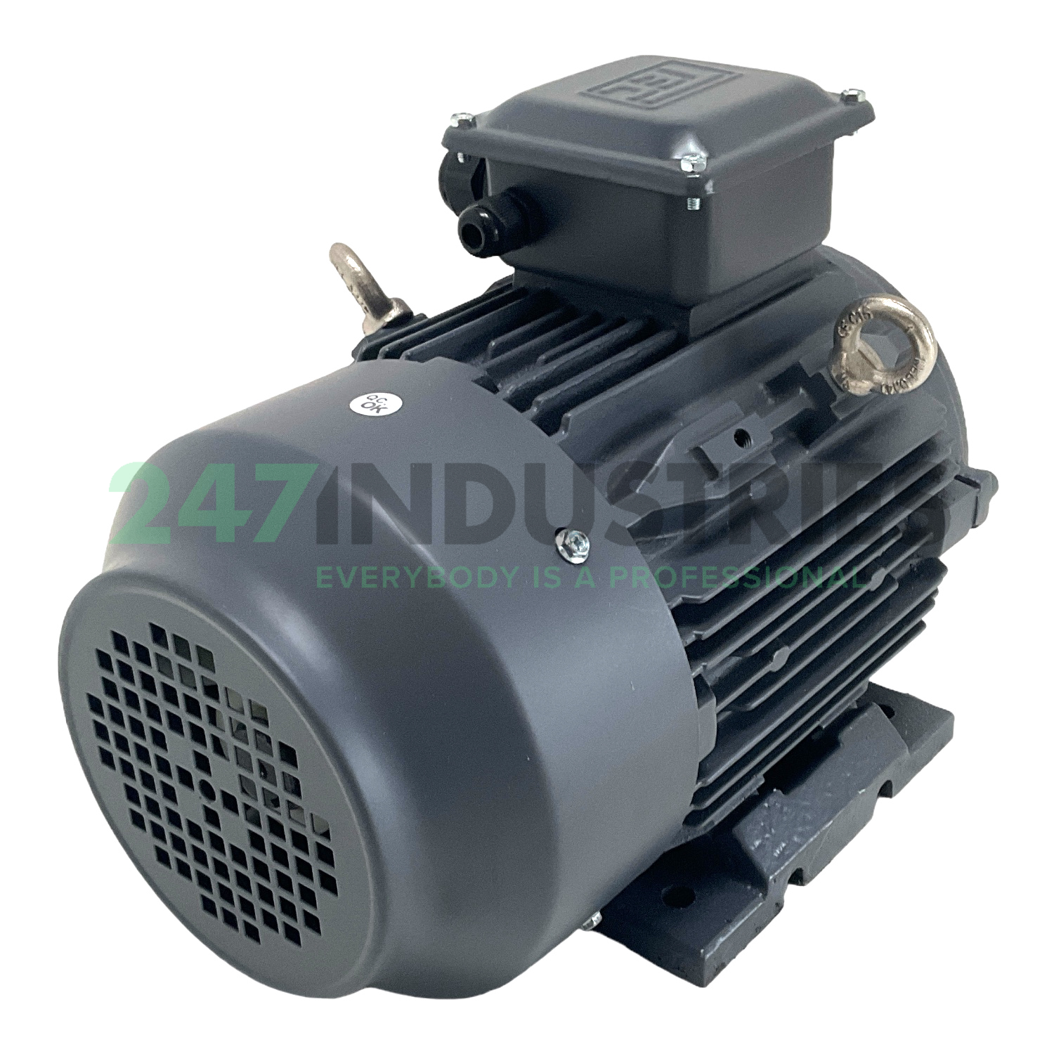 T2CR100L1-4-B3 TechTop Motor Image 3