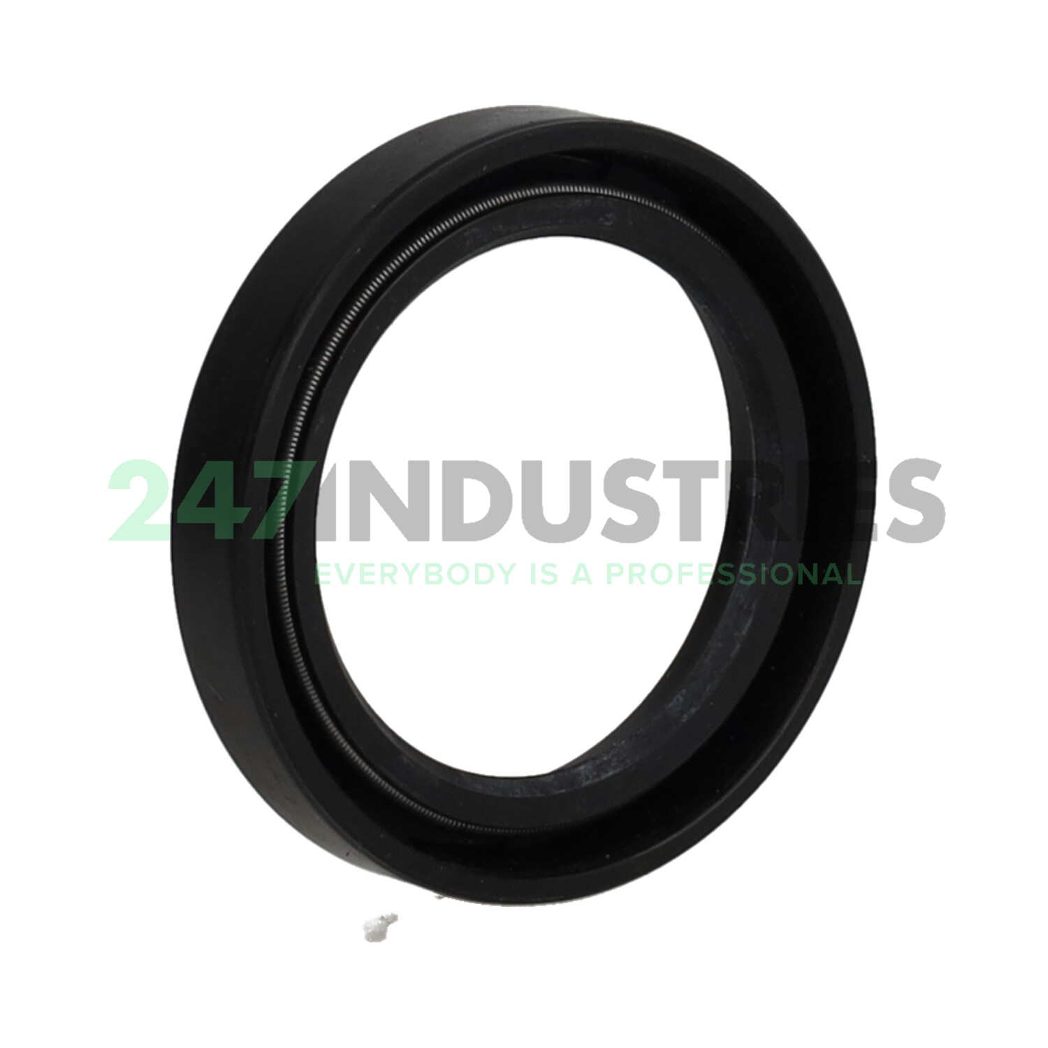 SC40X56X10 NAK Sealing Technologies Image 2