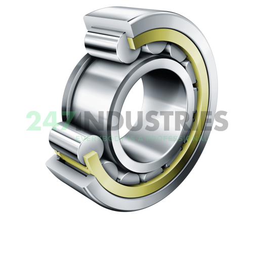 NJ2338-EX-TB-MPAX-ILR FAG