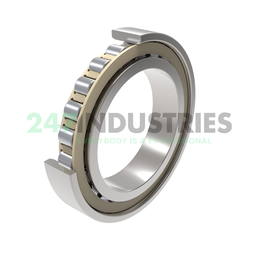 N1009-C-K-PVPA1-SP FAG