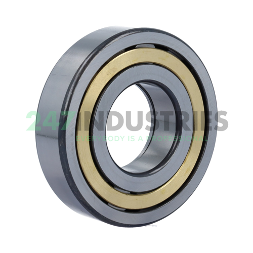 NUP309-E-XL-M1-C3 FAG Image 2