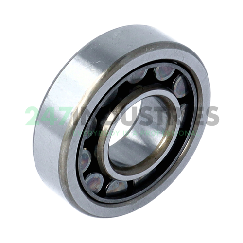 NU305EWC3 NSK Image 2