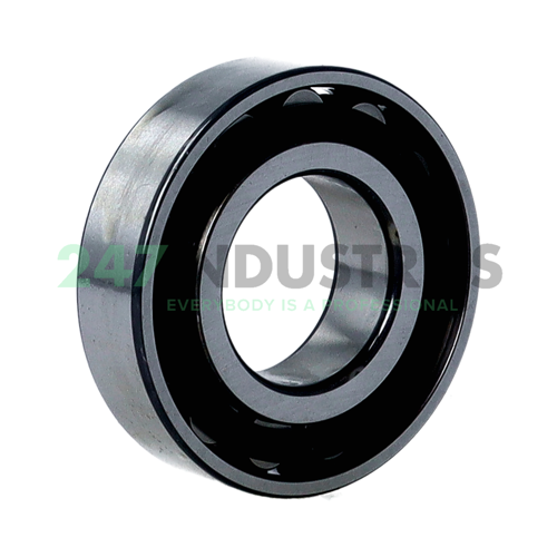 N206-E-XL-TVP2 FAG Image 2