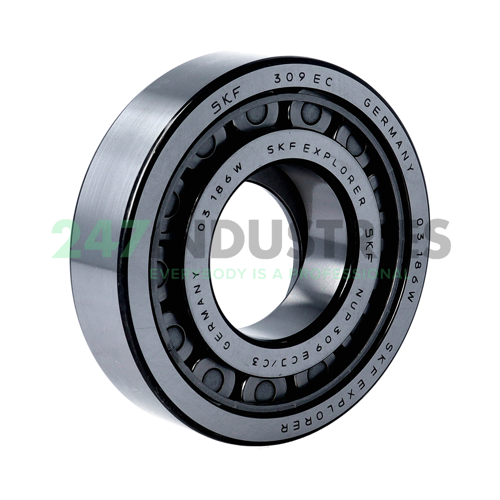 NUP309ECJ/C3 SKF