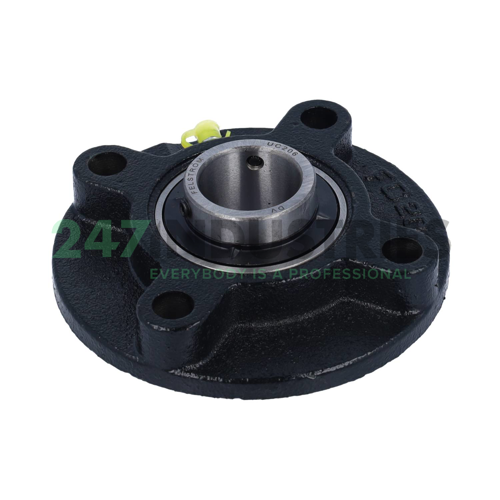 UCFC206 Felstrom Image 1