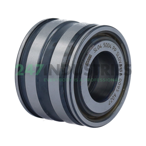 SL045004-PP INA