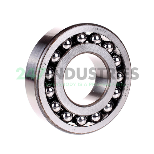 1310TV SLF Fraureuth