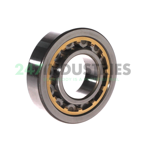 NU309G1 CM NTN Image 2