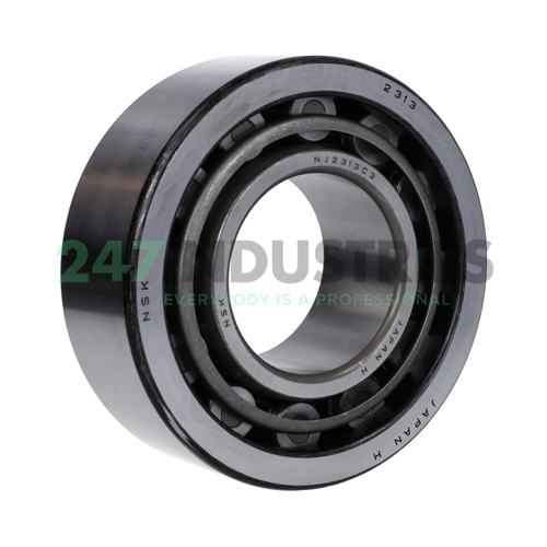NJ2313WC3 NSK