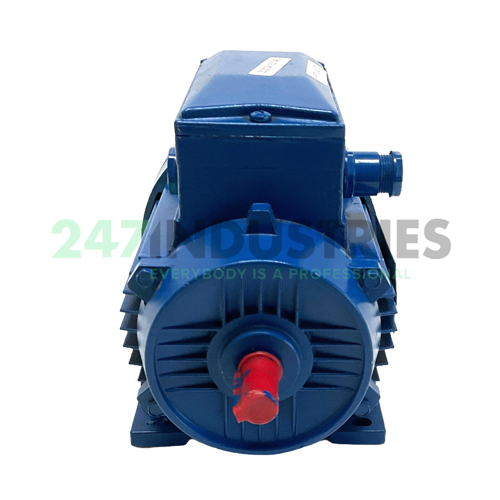 HFF71C4B3 Rossi Image 2