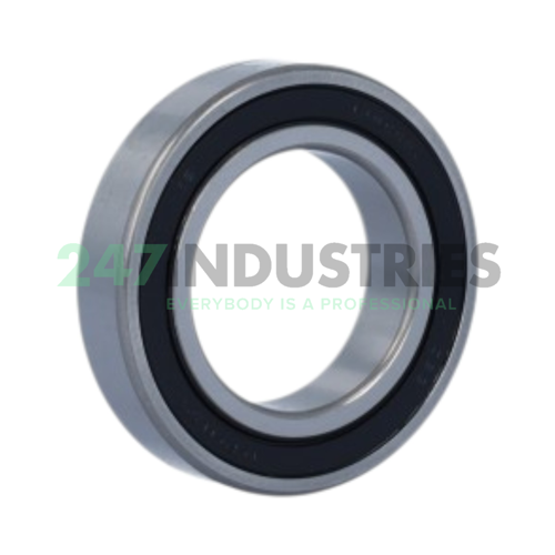 6009 2RS NIS Image 2