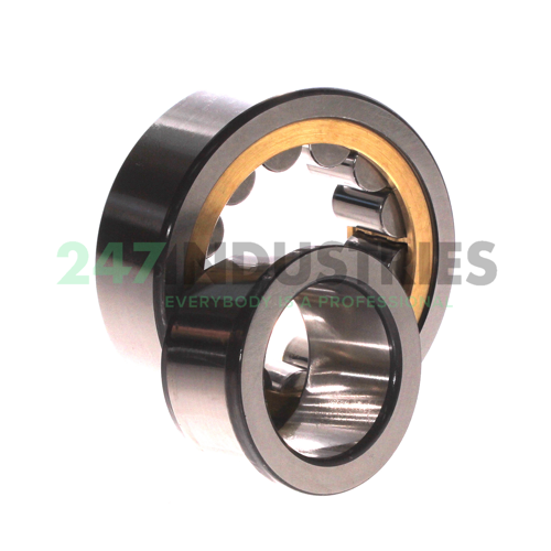 NJ2309-E-XL-MPAX-C3 FAG Image 3