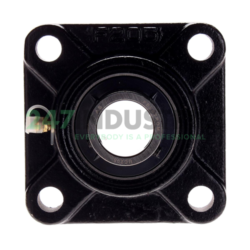 UCF205 Felstrom Image 4