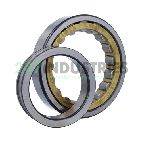 NUP218E.M1.P6.F1 FAG