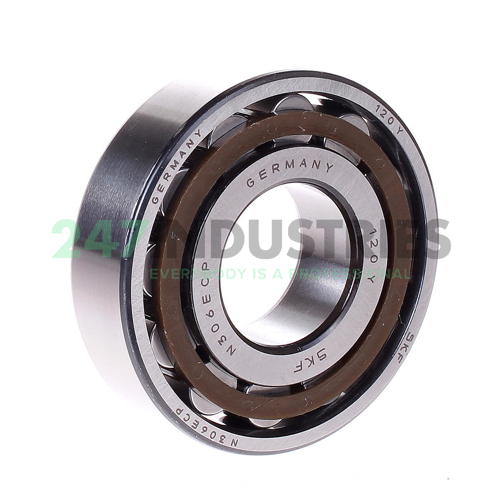 N306ECP SKF