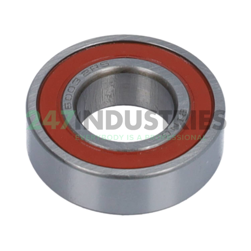 6003-2RS Bing Netherlands