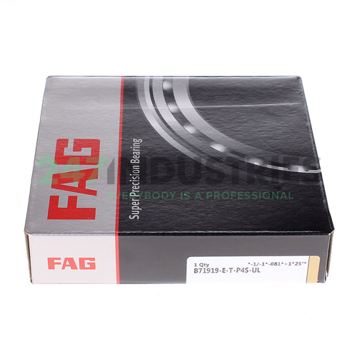 B71919E.T.P4S.UL FAG Image 2