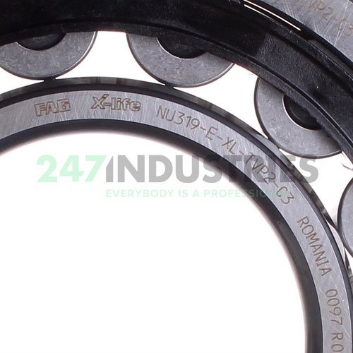 NU319-E-XL-TVP2-C3 FAG Image 2