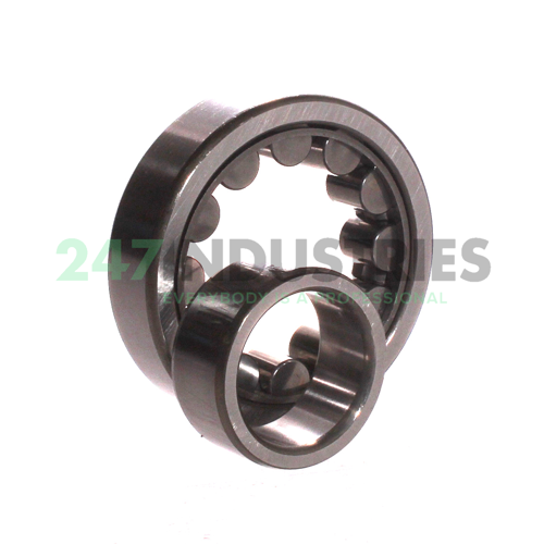 NU307EWC3 NSK Image 3