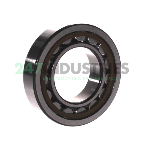 NU209ECP/C3 SKF Image 2
