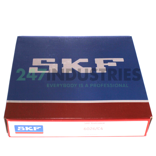 6026/C4 SKF Image 3