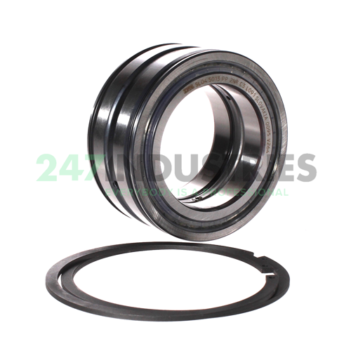 SL045013-PP-2NR-C3-L091 INA