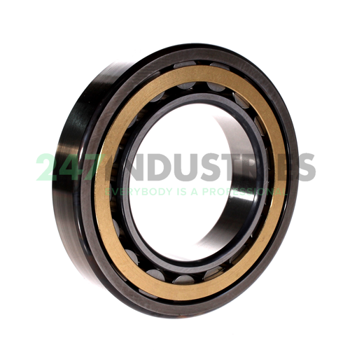 NU217-E-XL-M1-C4 FAG Image 2