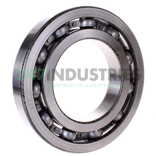 6230 SKF