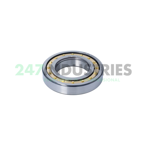 NUP213-E-XL-M1-C3 FAG