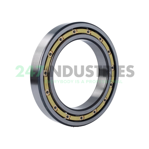 6024-M-C4 FAG Image 2