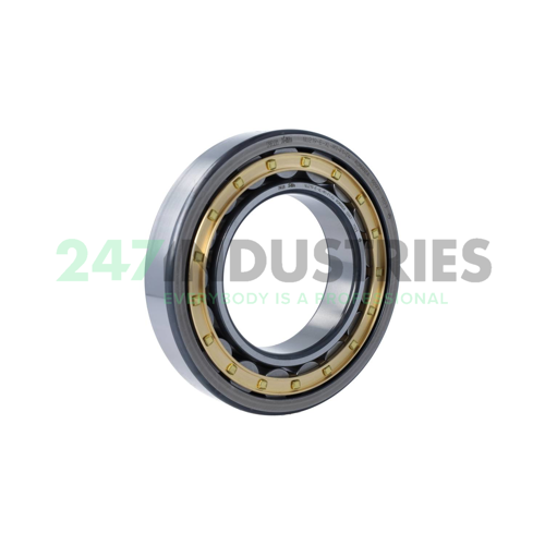 NU219-E-XL-M1-F1-C4 FAG