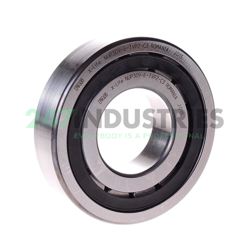 NUP309-E-TVP2-C3 FAG