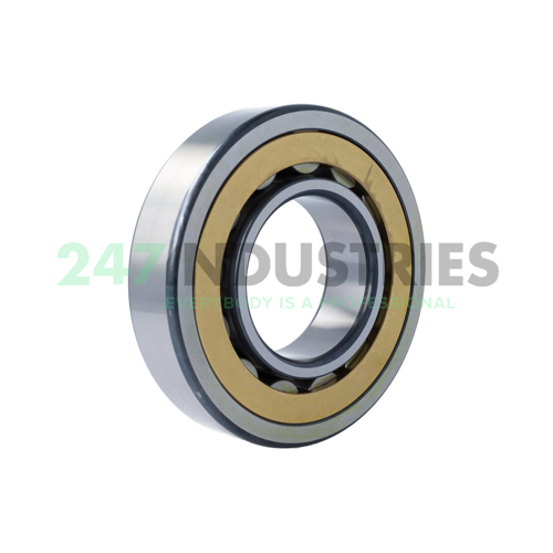 NU318-E-XL-M1A-C4 FAG Image 2