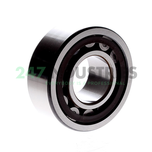 NU2308ET NSK Image 3