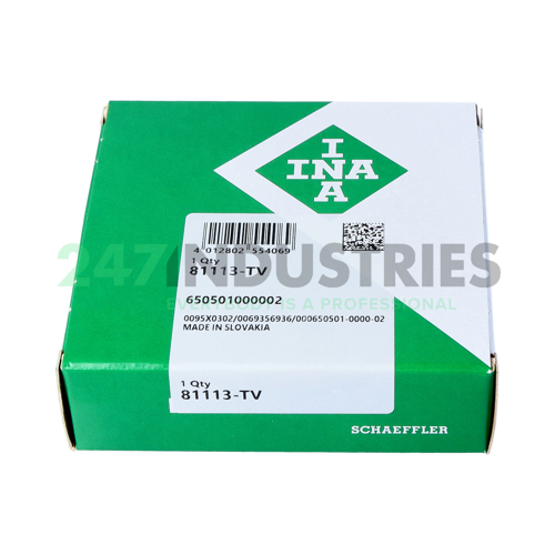 81113-TV INA Image 4