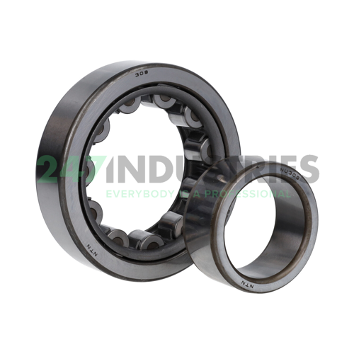 NU309 NTN Image 2
